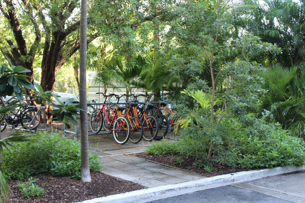 Bikes can be delivered to the Door