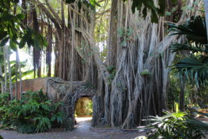 Key West Garden Club