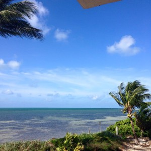 Key West View From Property