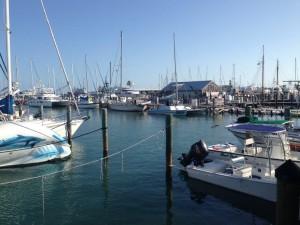 Key West Marina - Key West Attractions