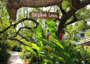 Orchid Lane Resort Gardens 1800 Atlantic